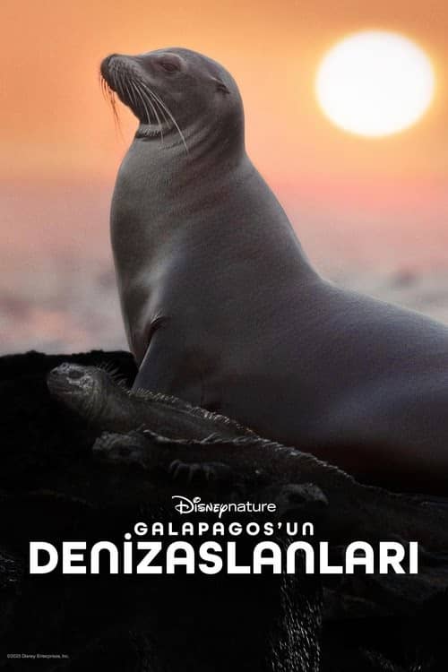 Galapagos'un Denizaslanları izle