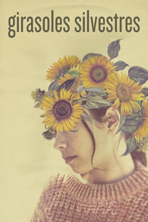 Girasoles silvestres izle