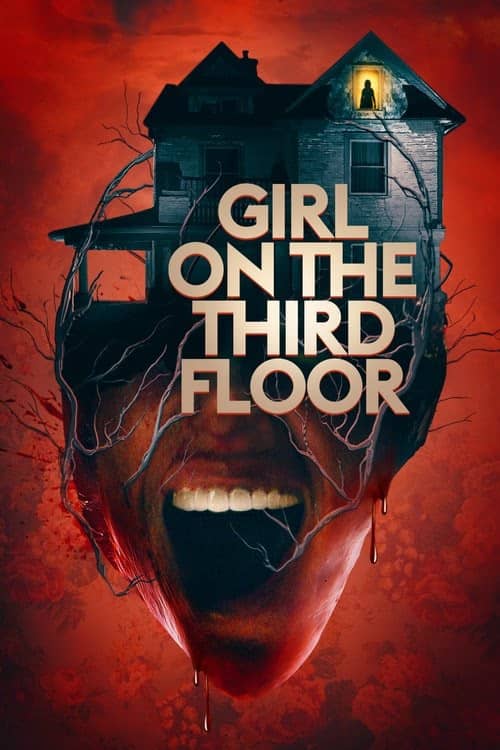 Girl on the Third Floor izle