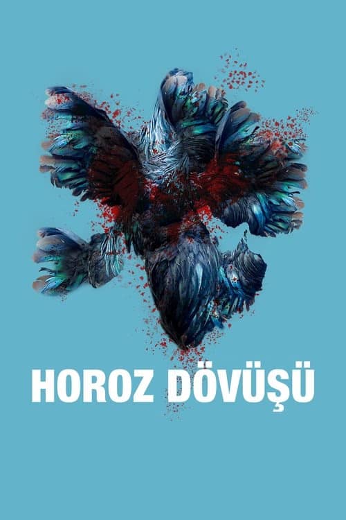 Horoz Dövüşü izle