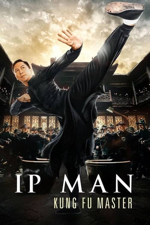 Ip Man: Kung Fu Ustası izle
