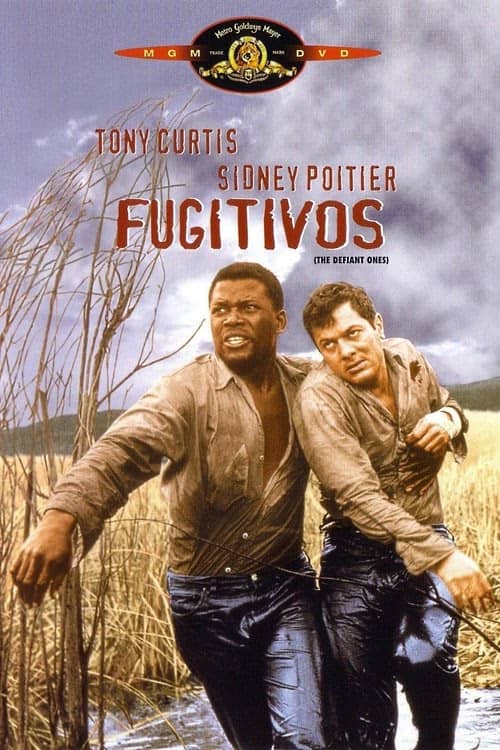 Kader Bağlayınca izle