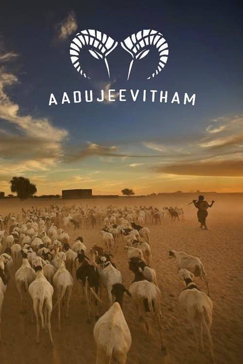 Keçilerle Yaşam izle