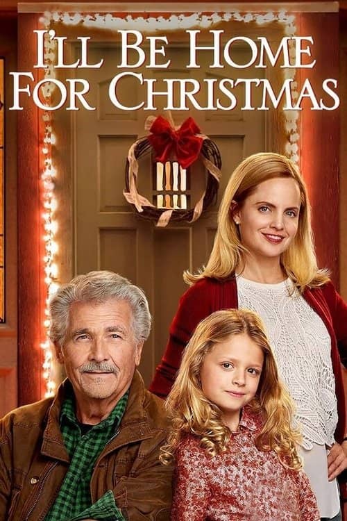 Noel'de Evdeyiz izle