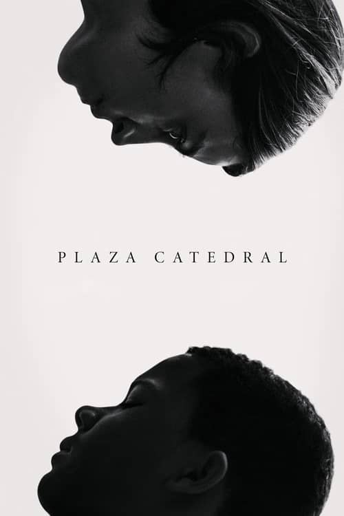 Plaza Catedral izle