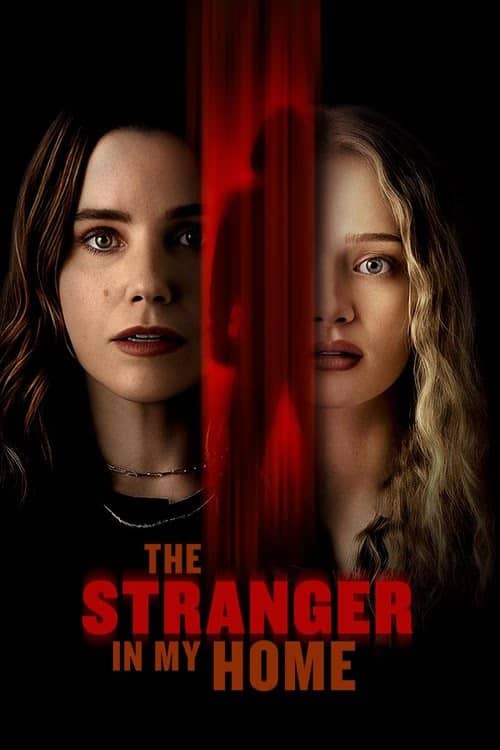 The Stranger in My Home izle