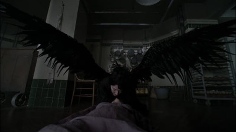 American Horror Story 2. Sezon 7. Bölüm kapak